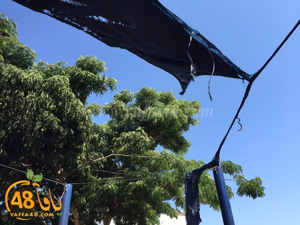 firealn jaami (6).jpg